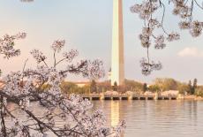 Washington Monument