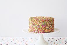 Sprinkle Cake