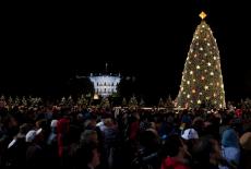 Tree Lighting_01