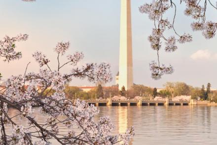 Washington Monument