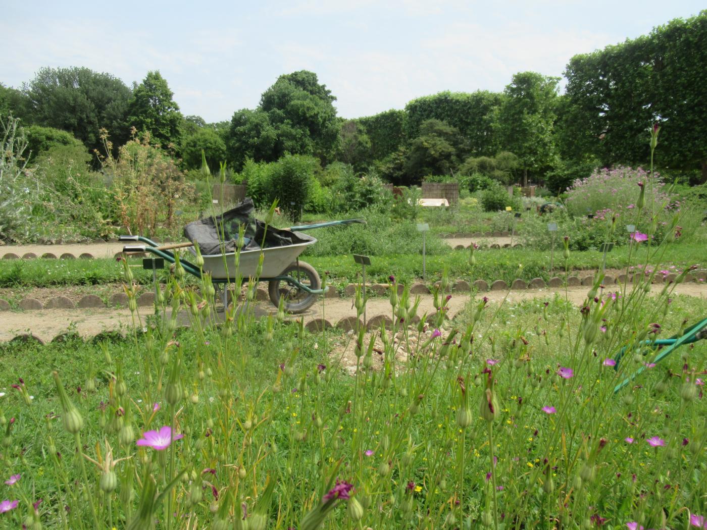 Spring France