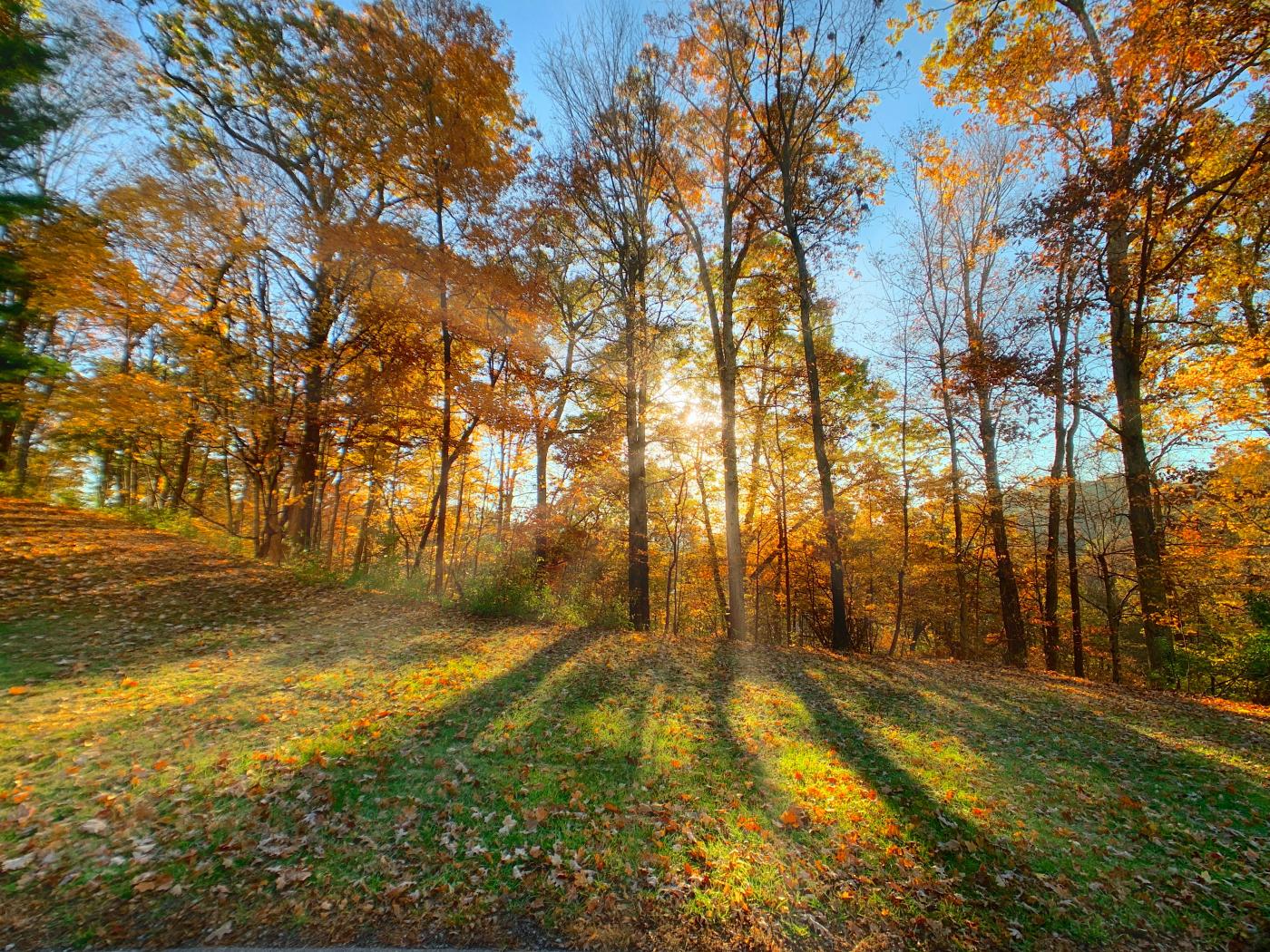 fall morning